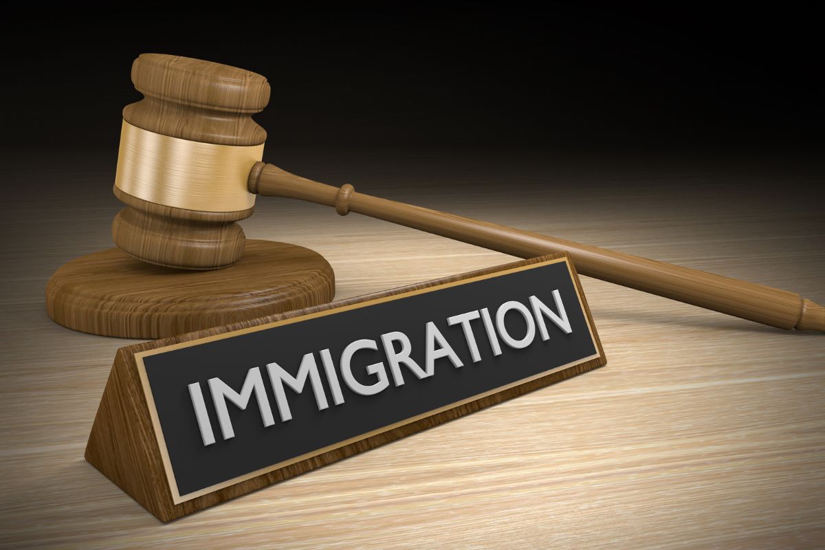 Immigration attorney providing legal advice for removal proceedings