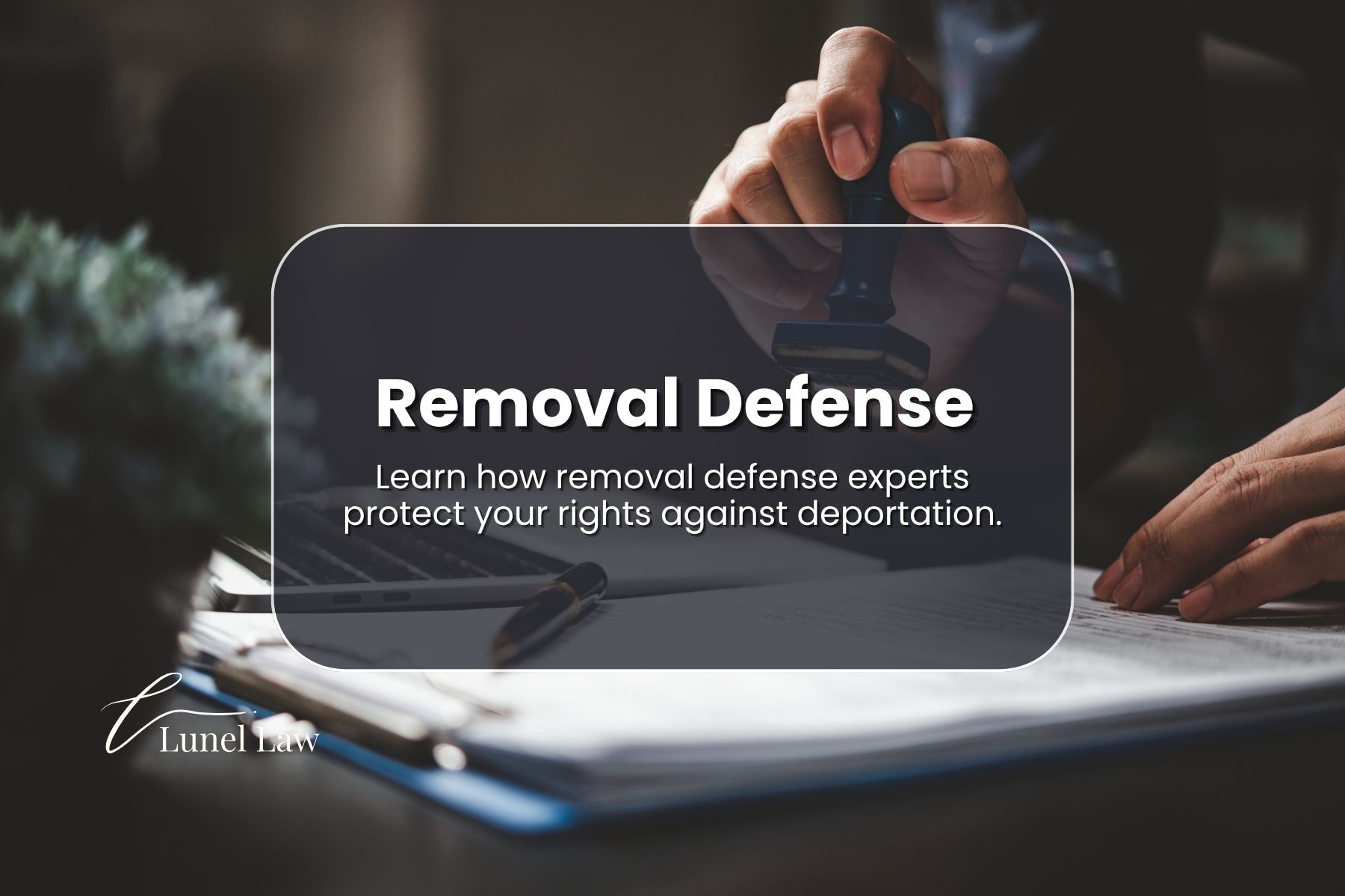 removal defense lawyer in atlanta